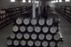 The new cellar at Quinta do Portal - Oct. 2010