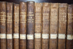 19th century ledgers at the RCV Port Lodge