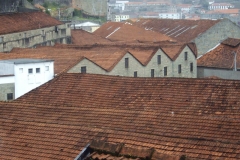 Cellars & Roofs
