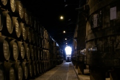 Royal Oporto
