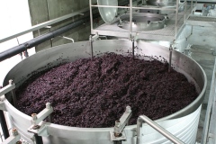Bucket 'O Grapes