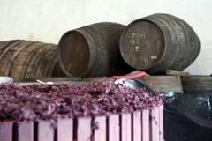 barrels 'o fun