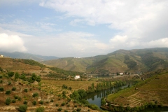 Clouds forming up near the Tedo river