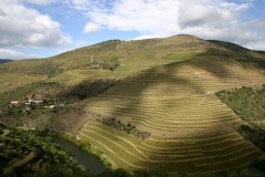 Quinta do Panascal