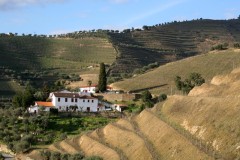 Quinta do Passadouro in winter