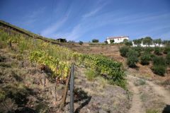 Quinta do Macedos