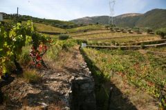 Quinta de Macedos
