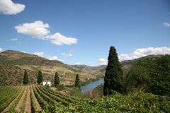 View on the Douro from quinta de Roriz