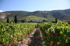 Quinta de Roriz