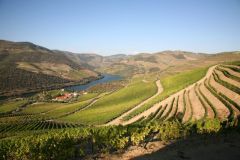 Quinta de Roriz