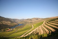 Sunset on quinta de Roriz