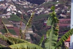 A small hilltop town surrounded by vineyards