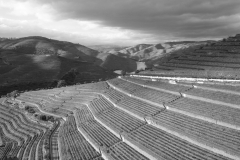 Storm clouds rolling in over Quinta do Noval