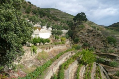 Quinta do Panascal