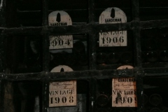 old vintage port at Sandeman