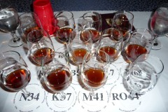 FTLOP Gala 2009, Friday - Colheitas ready for tasting