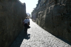 the climb to Taylor's