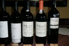2009 Port Gala, Sunday afternoon Douro wines