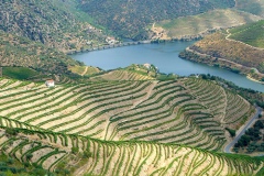 Quinta Vale D'Agodinho (Quevedo)