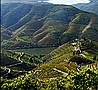 Quinta do Crasto