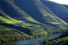 Quinta de Roriz from afar