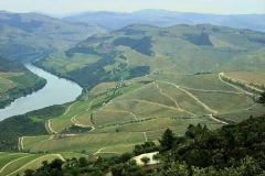 Looking down on the Douro from QdVDM