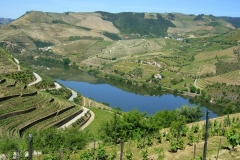 Sandeman's Quinta do Seixo