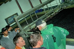 Robotic plunger at Quinta do Crasto