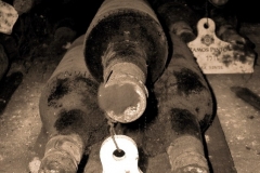 1863 Ramos Pinto Vinho Velho