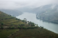 Shot from Quinta do Crasto