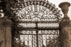 Entryway in the Douro - Quinta dos Malvedos