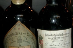 1815 Royal Oporto & 1815 Ferreira Colheita
