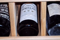 Legends in the Cellar