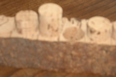 Cork carvings