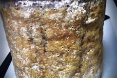 A Wheel of Port Soaked Stilton