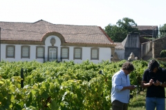 Dirk Niepoort and Luis Seabra planning the harvest