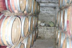 Niepoort red wines barrels