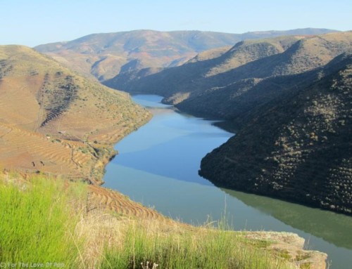 Weather in the Douro