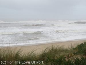 Gaia beach Feb 13 11 17 AM