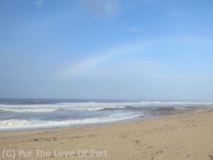 Gaia beach Feb 13 11 36 AM