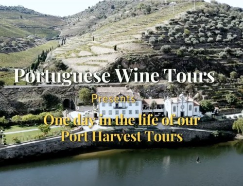 A Day On The Port Harvest Tour