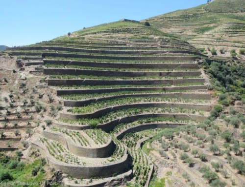 Quinta da Boavista